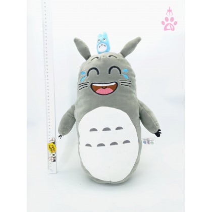 Totoro SoftToys/PlushToys/KidsToys 25-35cm表情龙猫娃娃玩具公仔25厘米-35厘米 Totoro SoftToys/PlushToys/KidsToys 25-35cm表情龙猫娃娃玩具公仔25厘米-35厘米