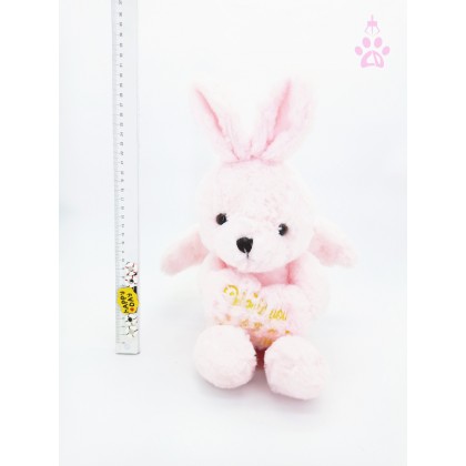 Angel Bear SoftToys/PlushToys/KidsToys 25-35cm 天使熊娃娃玩具公仔25厘米-35厘米 Angel Bear SoftToys/PlushToys/KidsToys 25-35cm 天使熊娃娃玩具公仔25厘米-35厘米