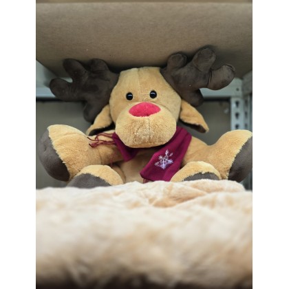 Christmas Deer Pillow With Blanket 圣诞麋鹿枕头被 Christmas Deer Pillow With Blanket 圣诞麋鹿枕头被