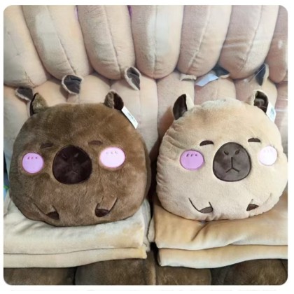 Round Capybara Pillow With Blanket 圆圈卡比巴拉枕头被 Round Capybara Pillow With Blanket 圆圈卡比巴拉枕头被