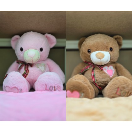 Love Teddy Pillow With Blanket 爱心泰迪枕头被 Love Teddy Pillow With Blanket 爱心泰迪枕头被