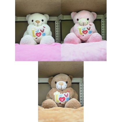 Heart Teddy Pillow With Blanket    爱心泰迪熊枕头被